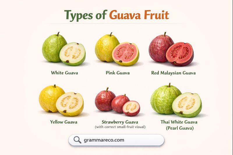 Different Types of Guava Fruit & Pictures: 21 Guava Fruit Varieties