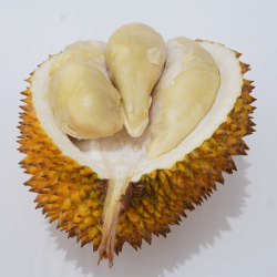 Durian