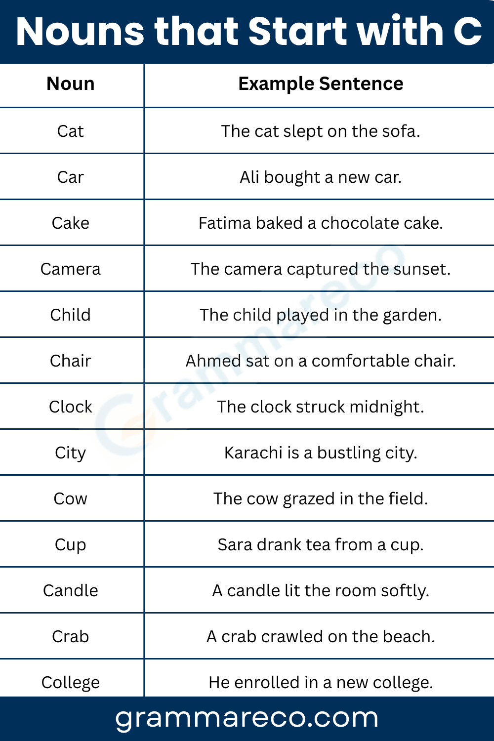 30+ Examples Sentences of Nouns Starting with C