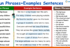 100 Examples of Noun Phrases in Sentences with Pictures