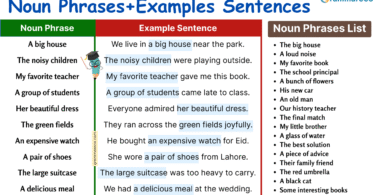 100 Examples of Noun Phrases in Sentences with Pictures