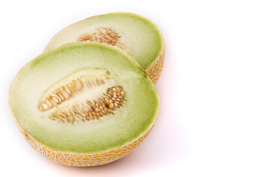 Galia Cantaloupe and Pictures