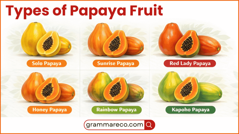 Varieties of Papaya: Guide to Types of Papaya Fruit and Pictures