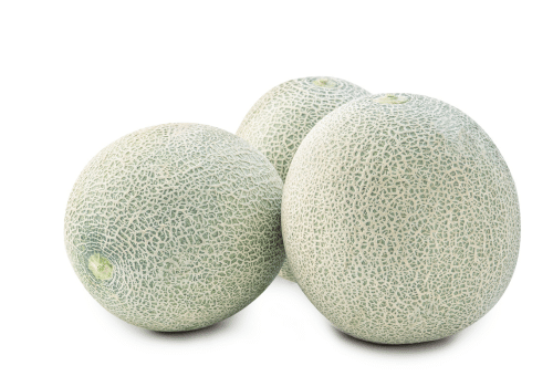 Honey Rock Cantaloupe