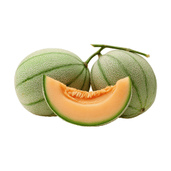 Honeydew Melon