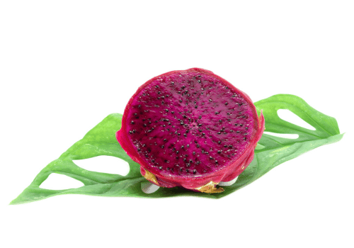 Hylocereus Costaricensis