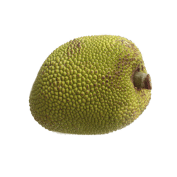 Jackfruit: Green Fruits with Photos
