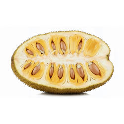 White Jackfruit with their Picture and Information