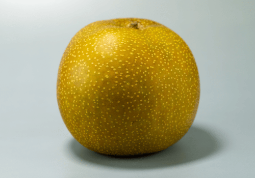 Japanese Pears Fruits Varieties: Size, Shape, Color