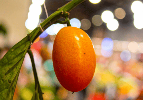 Orange-Skinned Passion Fruits