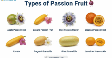 Passion Fruit Varieties: 20 Types of Passion Fruits and Pictures