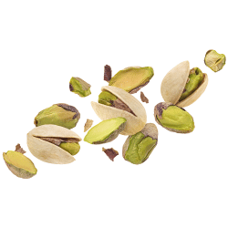 Pistachio Fruit