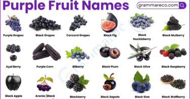 42 Purple Fruits List and Names with Pictures You Should know