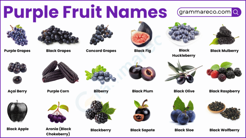 42 Purple Fruits List and Names with Pictures You Should know