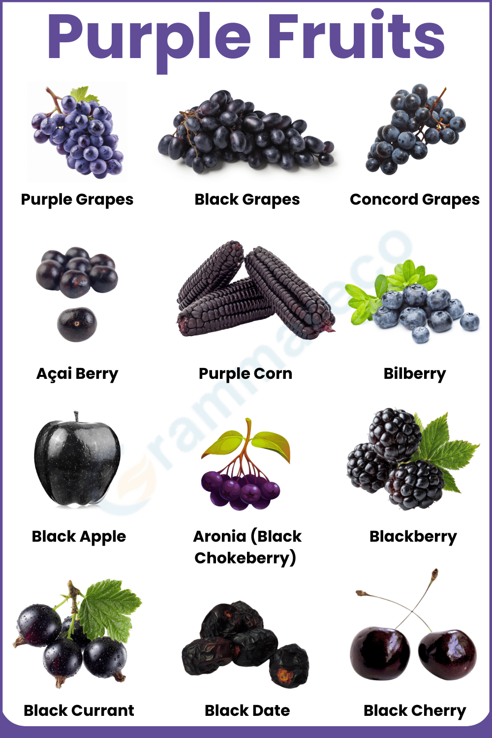 List of Purple Colored Fruits Names and Pictures