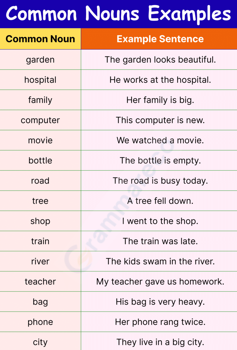 120 Common Noun Examples in English with Sentences & Pictures ...