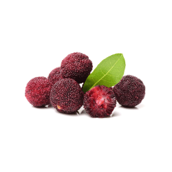 Red Bayberry (Yangmei)