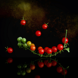 Currant Tomato