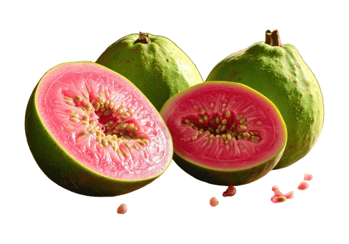 Red Flesh Guava Varieties