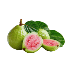 Guava