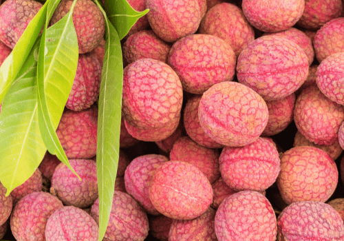 Rose Scented Lychee