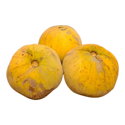 Santol