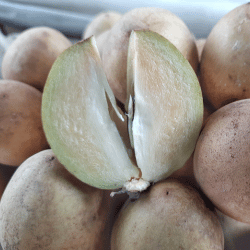 Sapodilla: List of White Fruits Names