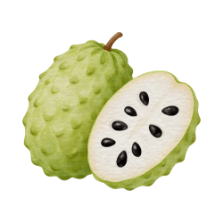 Soursop: White Fruits Names and their Pictures