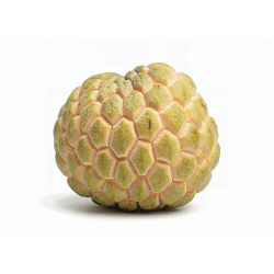 Sugar Apple