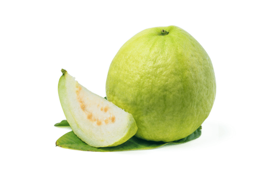 Thai White Guava 