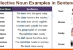 Top 100+ Collective Nouns Examples in Sentences in English