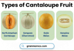 20 Different Types of Cantaloupe Fruit and Pictures with Benefits