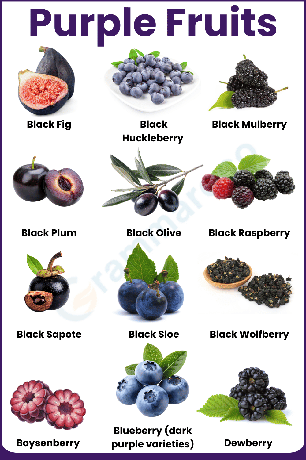 Types of Fruits that are Purple Colored with Pictures