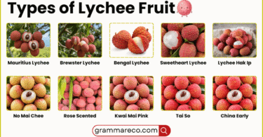 15 Types of Lychee Fruit Litchi Varieties with Pictures