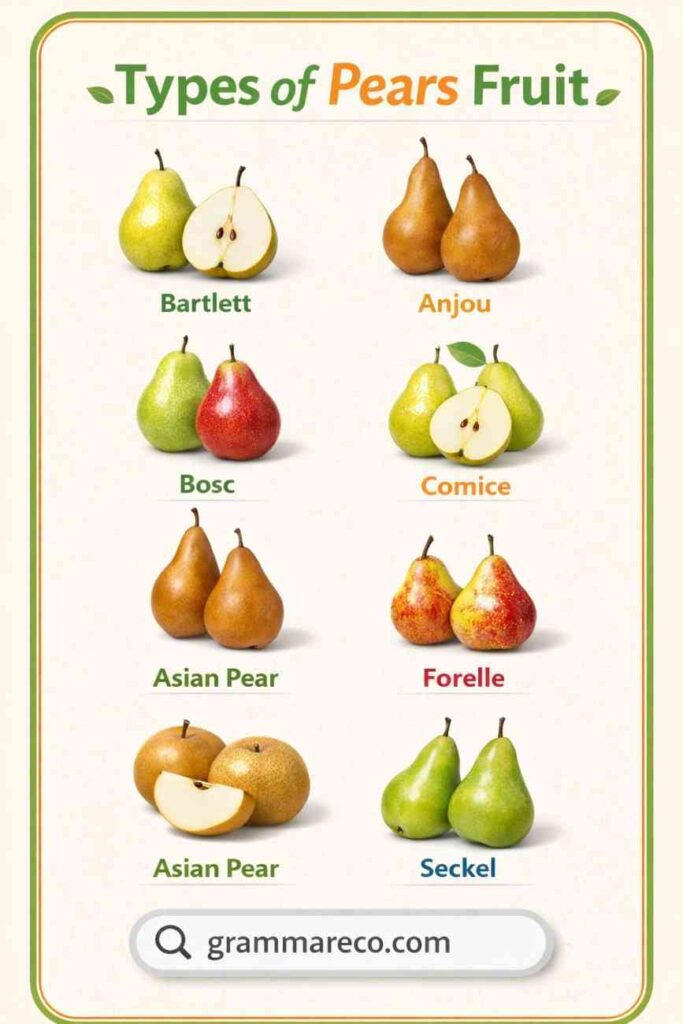 Guide to Pear Varieties: Know 21 Types of Pears Fruit with Pictures ...