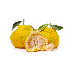 Ugli Fruit