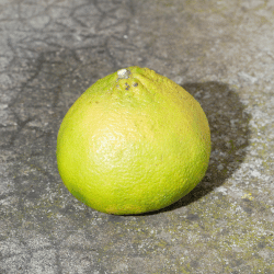 Ugli Fruit
