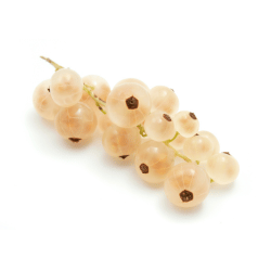 Currant: Types of White Fruits Names