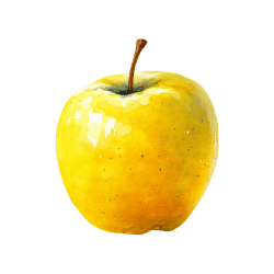 Yellow Apple