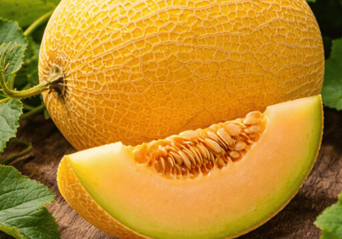 Yellow Cantaloupe Fruit and their Benefits