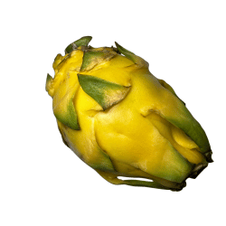 Yellow Dragon Fruit