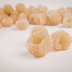 Yellow Raspberry
