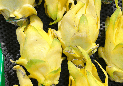 Yellow Dragon Fruit and their Benefits with Image