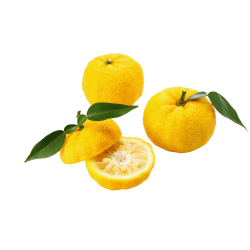 Yuzu