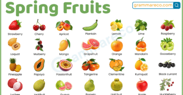 Spring Fruits 100+ Fruits that are in Season in Spring with Pictures