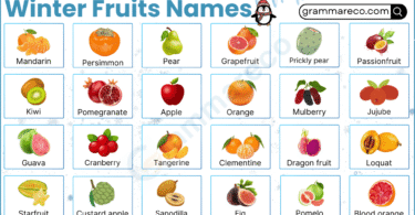 Winter Fruits List: 100+ Seasonal Fruits in Winter with Photos