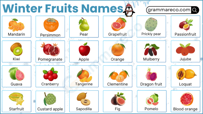 Winter Fruits List: 100+ Seasonal Fruits in Winter with Photos