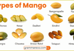 46+ Mango Varieties and Pictures: Different Types of Mango Fruit