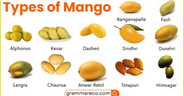 46+ Mango Varieties and Pictures: Different Types of Mango Fruit