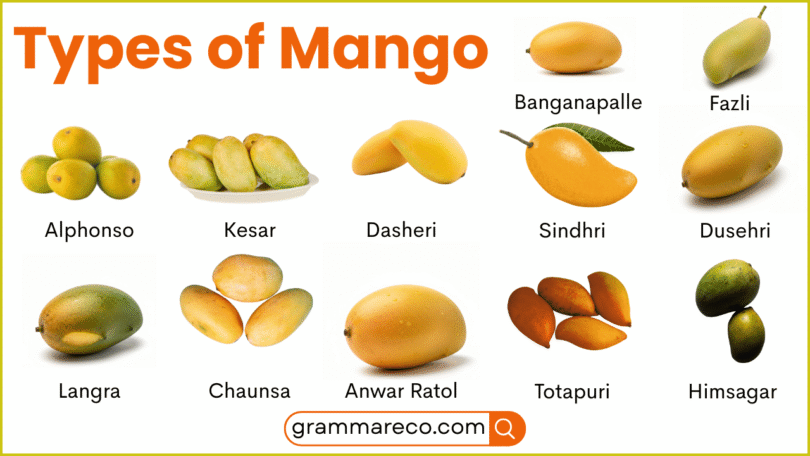 46+ Mango Varieties and Pictures: Different Types of Mango Fruit